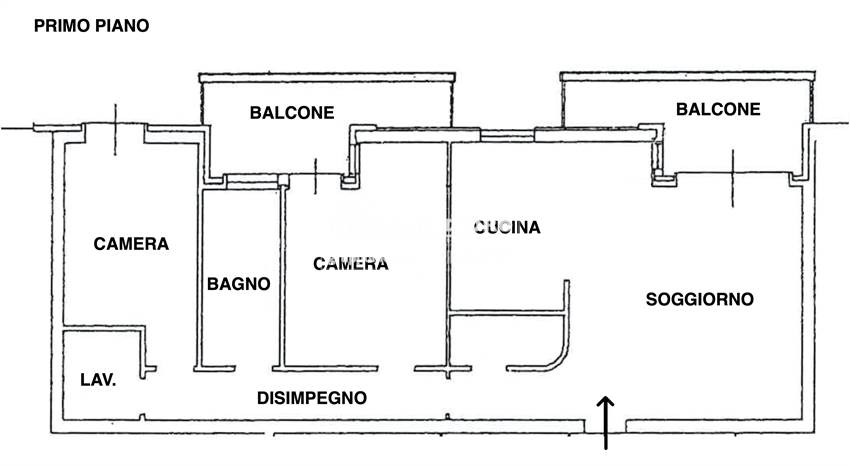 PLAIMETRIA